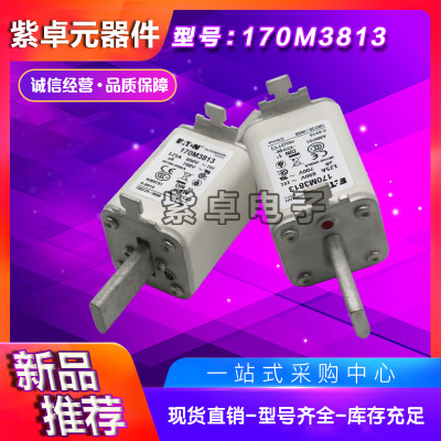 全新原裝Bussmann熔斷器170M3981 170M3982 170M3983 170M3984