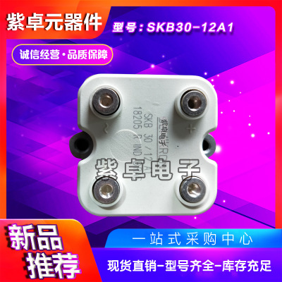 SKB30/12A1 SKB30/14A1 SKB30/16A1西門(mén)康整流橋功率模塊原裝現(xiàn)貨