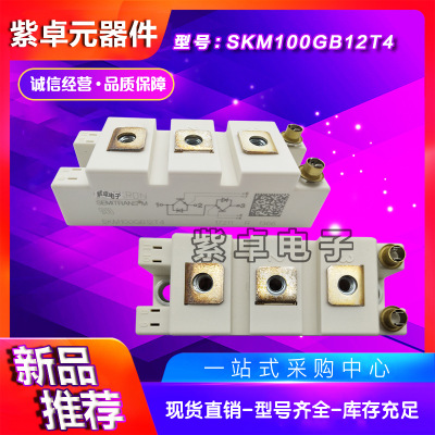SKM100GAR12T4 SKM100GAR123D西門(mén)康全新原裝IGBT功率模塊