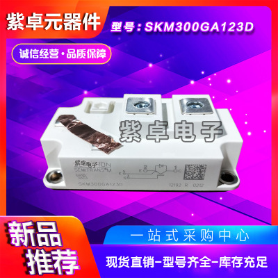 西門康SKM300GAL12E4 SKM300GAL123D全新原裝IGBT功率模塊