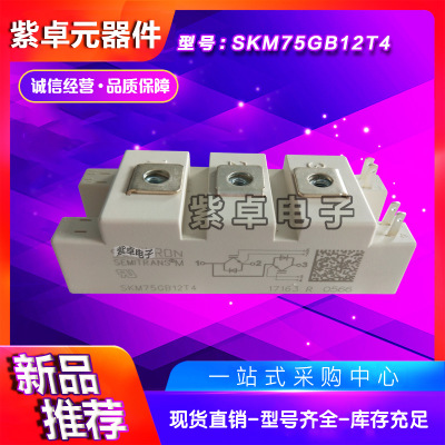 SKM75GB12T4 SKM75GB123D SKM75GB124D西門(mén)康全新原裝IGBT模塊